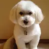 Sandra Singer - @sandrasinger47 - TikTok