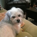 Sondra Waters - @sondrawaters - Instagram