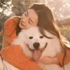 songjie - @songjie541 - TikTok