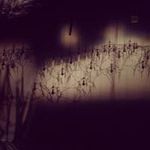 SongYi Park - @songyi4508 - Instagram