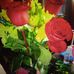 Sonia Amaro - Facebook
