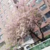 🇪🇨🐣 - @sonia_anga.mrc56 - TikTok
