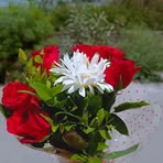 Sonia Aziz - Facebook