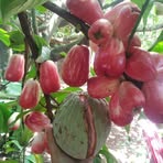 Sonia Barillas - Facebook