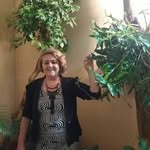 Sonia Bento - @sonia.bento.792 - Instagram