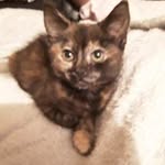 soniabenton - @soniabenton756 - Instagram