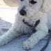 Sonia Bergo - Facebook