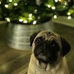 Sonia Betts - @soniebee - Instagram