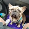 Sonya Biddle - @sonya.biddle6 - TikTok