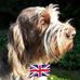 Sonia Bird - Facebook