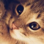 Соня Бобет - @soniabobet9894 - Instagram