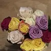 soniabonner7 - @sonya.jones52 - TikTok