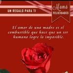 Sonia Bosch - Facebook