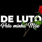 Sonia Botelho - @botelho1515 - Instagram