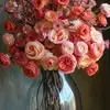 Sonia Beerbower - @sonia.beerbower - TikTok
