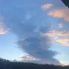 Sonia bowman❤️ - @sonia.turtle - TikTok