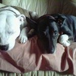 Sonia Son Bob Brady - @teggietwos - Instagram