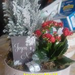 Sonia Brun - Facebook