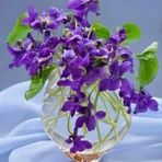 Sonia Brun - Facebook