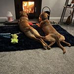 Sonia Buckland - @soniabuck4 - Instagram