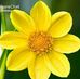 Sonia Burrows - Facebook