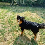Benny - @sonia.bussard - Instagram