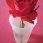 Sonia Bustillo - Facebook