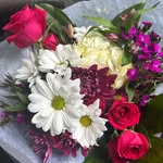 Sonia Cabrales - @cabrales6871 - Instagram