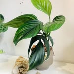 Sonia Cadena - @sonia.cadena.94 - Instagram