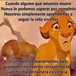 Sonia Jimenez Camba - @jimenezcamba - Instagram