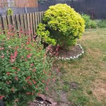 Sonia Cameron - @sonia.cameron.7503 - Instagram