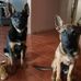 Sonia Capetillo - Facebook