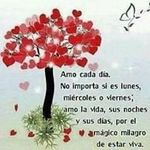 Sonia Capetillo Gonzalez - @sonicg208 - Instagram