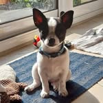Sonia Caron - @soniacaron.62 - Instagram