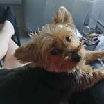 Sonia Caron - @caronsonia1962 - Instagram