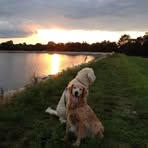 Sonia Carpenter - Facebook