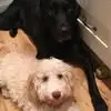 Sonia Carpenter - @sonia.carpenter - TikTok