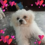 Sonia Carpentero - Facebook