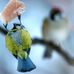 Sonia Comstock - Facebook