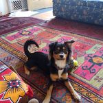 Sonia E comstock - @soniaecomstock - Instagram