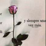 sonia concha - @soniaconcha - Instagram