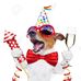 Sonia Cornish - Facebook