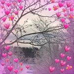 Sonia Côté - @soniacote435 - Instagram