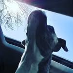 Sonya Crouse - @sonyacrouse - Instagram