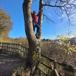 Sonia Crowton - @soniacrowton - Instagram