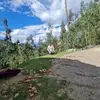 Sonia Cueva - @sonia.cueva75 - TikTok