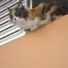 Sonia Dantas - @soniadantas24 - TikTok