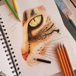 Sonia De Andrade - @sonia.de.andrade_art - Instagram