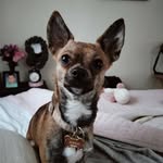 Sonia Dennis - @soniadenis588 - Instagram