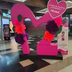 Sonia Donoso Elgueta - Facebook